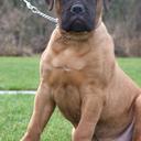 sharon. - @SharonVisser - Twitter