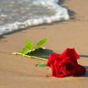Mnsuor Ali. (@0563366008) Twitter