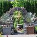 Mason House Gardens (@mhgardens) Twitter profile photo