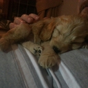 Julie Brindle - @IamJulieBrindle - Twitter