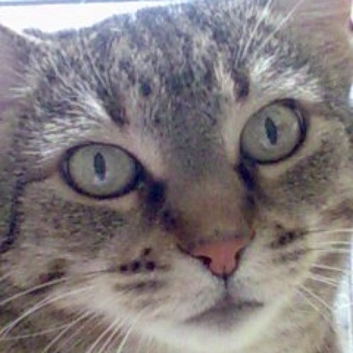 PennyOrfanidou's profile picture. 