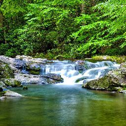 JackRat2's profile picture. 