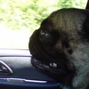 Jon Branch - @BelvaDeere - Twitter