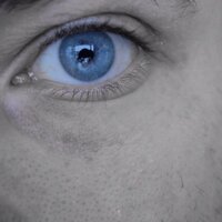 Flippy Flop (@floppyflippy) 's Twitter Profile