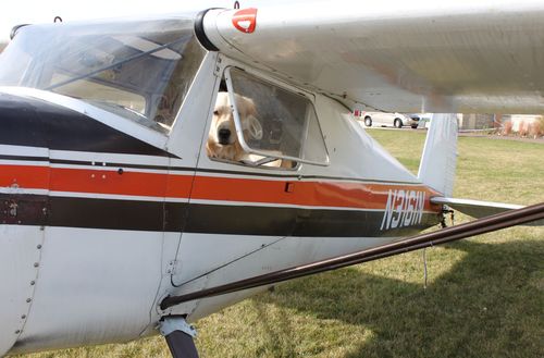 Managing Partner at Hoffman & Pomerantz, the Nation's Court Appearance law firm. Commercial Pilot and Flight Instructor. Attorney Practicing Aviation Law