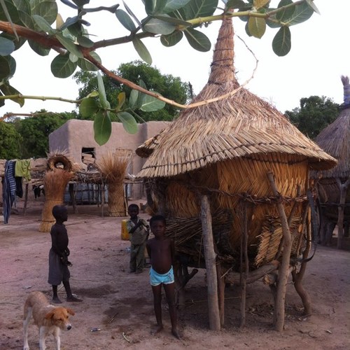 tknipiler's profile picture. 