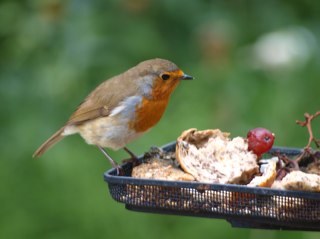Great, award winning, self catering country cottages in Burscough near Southport, Lancashire including our 5 star, fully accessible cottage for the disabled.