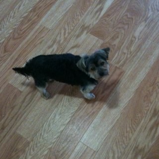 hcg762's profile picture. i love to stir the pot.