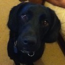 hayley joanne button - @hayjoa - Twitter