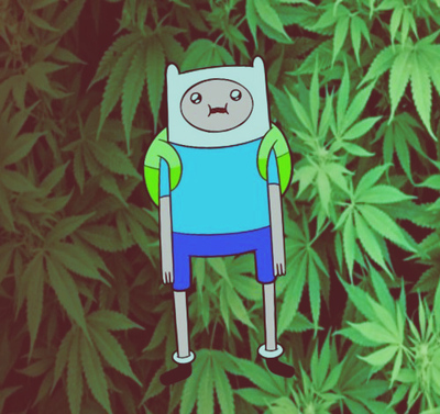 I'm Finn. Follow me!
