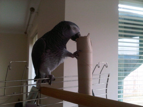 dave58228's profile picture. 