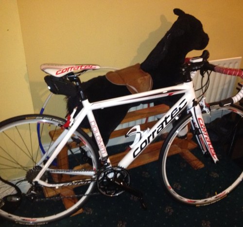 A 13 year old muppet from Cullybackey. 2nd year at Cullybackey high school and mad about anything with two wheels