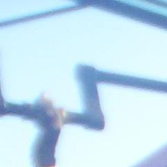 mestizaceb's profile picture. 