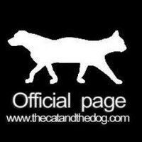 The Cat & The Dog (@thecatandthedog) 's Twitter Profile
