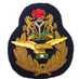 Nigerian Airforce  (@nigeriaairforce) Twitter profile photo