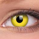 frances hobson - @FrancesH1962 - Twitter