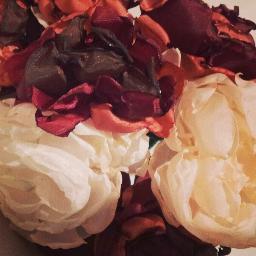 Lifestyle blogger :: Tea drinker :: In love with Cornwall