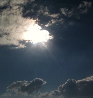 jannyw's profile picture. 