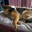 Mark lark - @dubbed46 - Twitter