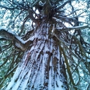 Melissa Browne - @Fintasious - Twitter