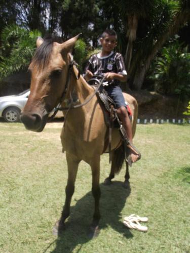 eu gosto de futebol e da minha familia e dos meu amigas nao gosto de fofoca