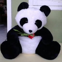 RezaFaureza's profile picture. Boneka yang kami jual di hbonekalucu.bizadalah boneka yang berkualitas EXPORT dengan harga TERJANGKAU. Untuk pemesanan SMS 0857-5911-1112