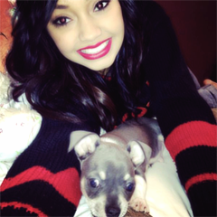 1/4 of Little Mix