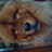 Feracam's profile image
