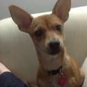 KayLee Dunn - @KayLeeDunn678 - Twitter