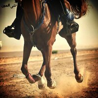 كاسر التيم  (@sufe_27) 's Twitter Profile