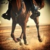 كاسر التيم (@sufe_27) Twitter profile photo كاسر التيم (@sufe_27) Twitter profile photo