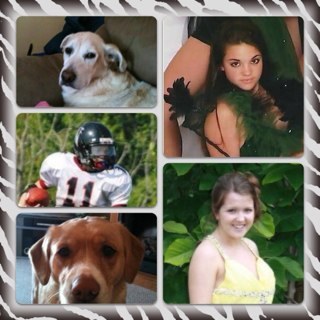 gburlison3's profile picture. 