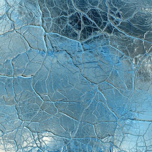 CarolynEthier's profile picture. 