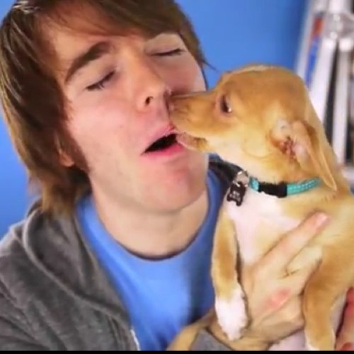 I obsess with a guy who wears his moms chlothes on the internet3 #dawsonwhore #dawsonfam #followback!