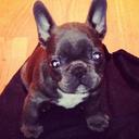 Jackson Cornish - @cornish_dog - Twitter