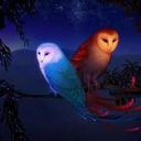 Diane Bateman - @DianeBateman1 - Twitter