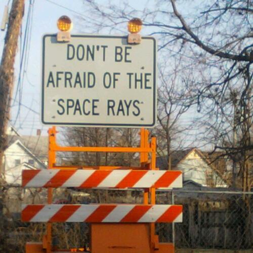 LynnePrice10's profile picture. 