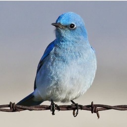 manubsy's profile picture. 