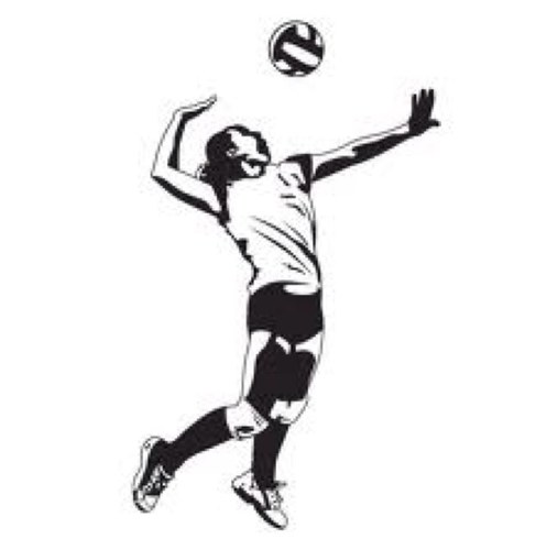 Do you love volleyball? I do. Follow me if you love it or you play it. #teamvolleyball #volleyballforlife