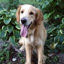 Peggy Ries - @PeggyR62 - Twitter