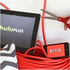 Canadian specific options and alternatives to cutting your dependence on your local Cable or Satellite Provider.