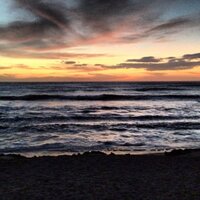Crosby (@orchard_broome) 's Twitter Profile