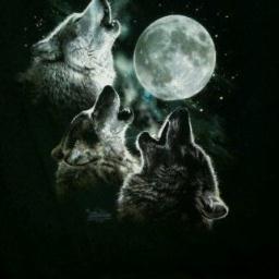 TowerOfPowers's profile picture. Retired Paperboy, former Centerfielder for '99 Babe Ruth Detroit Tigers, Aspiring Brewmaster