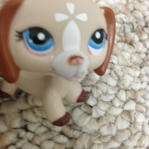 Lps Is ashain! Of course lps popular too.