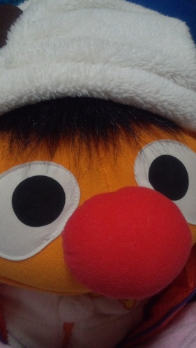 Sesame Streetにドップリはまってしまった子供化する大人