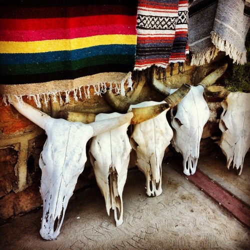 EXPLORE Baja magazine. Travel + Culture + Architecture + Design + Food + Fashion + People + Stories. Close up and personal.
