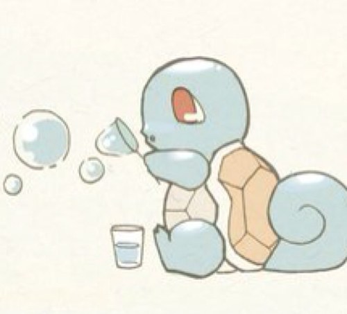 A newborn Squirtle. (RP)