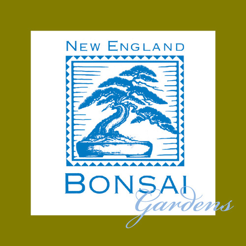 Bonsai nursery par excellence! World class specimen bonsai, pre bonsai. Healthy beautiful trees. Workshops. Excellence in bonsai since 1987.