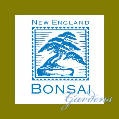 New England Bonsai Nebonsai Twitter