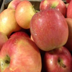 We are a family run farm in Tivoli, NY!
You can find our products at farm stands in Red Hook, Rhinebeck, Mt. Tremper, markets in Westchester and NYC!